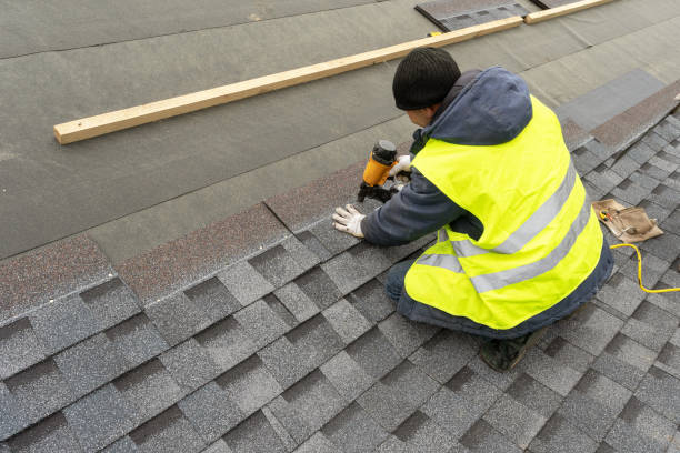 Best Roof Gutter Cleaning  in South River, NM