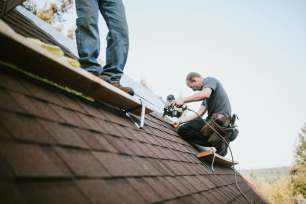 Professional Roofing Contractor in South River, NM